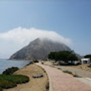 Meet your Posher, Celeste